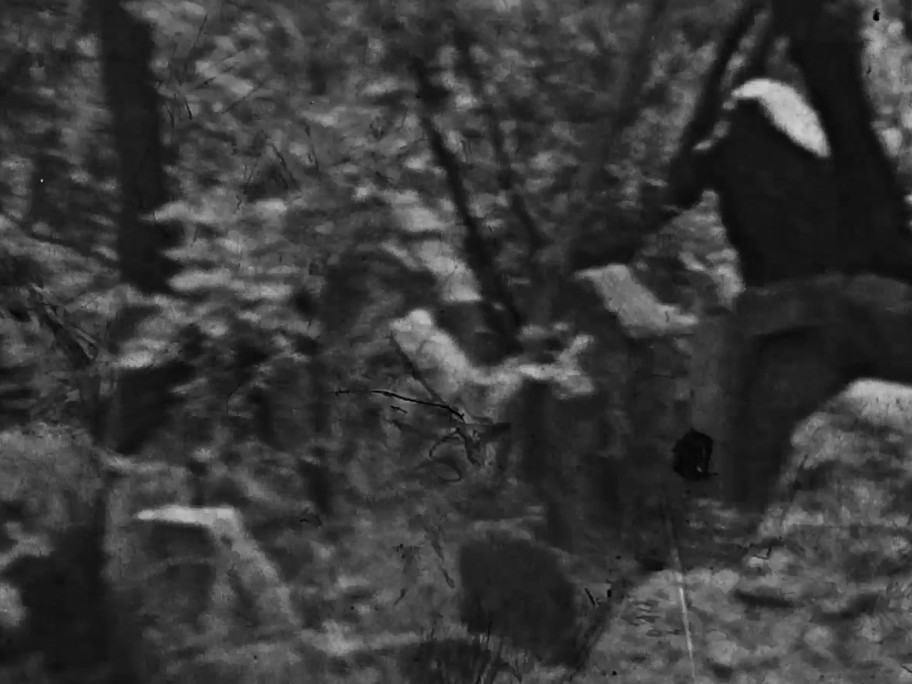 1934 film frame: overgrown Old Jewish Cemetery